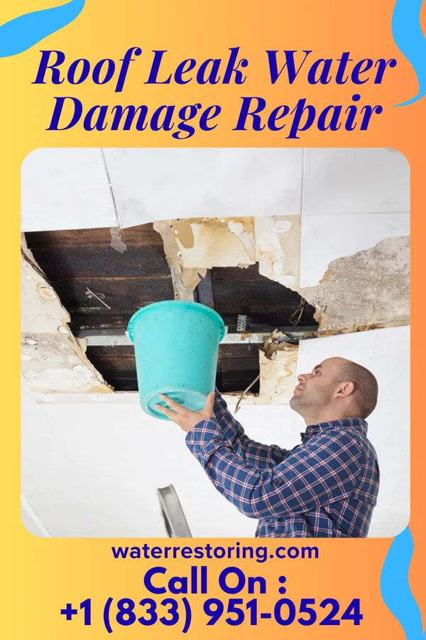 Roof Leak Water Damage Repair in Bayshore, OR